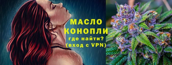 2c-b Горно-Алтайск